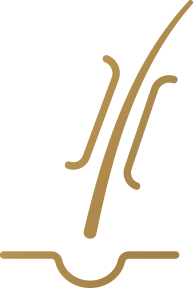 Lumière intégrée